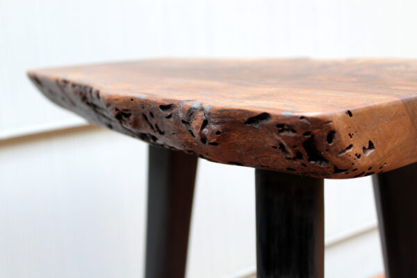 close-up of walnut worm holes